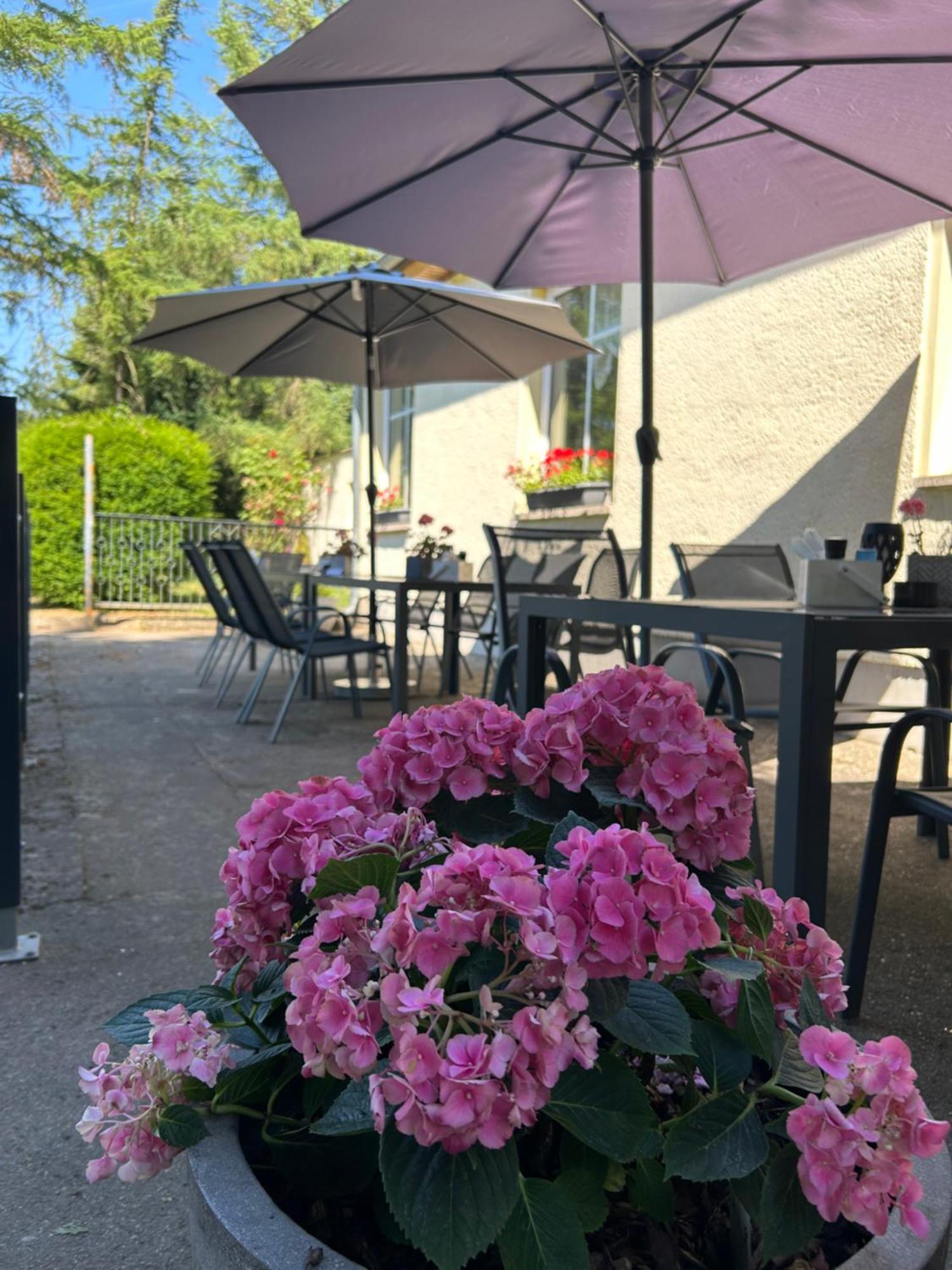 Hotel Waldperle à Jarmen Extérieur photo