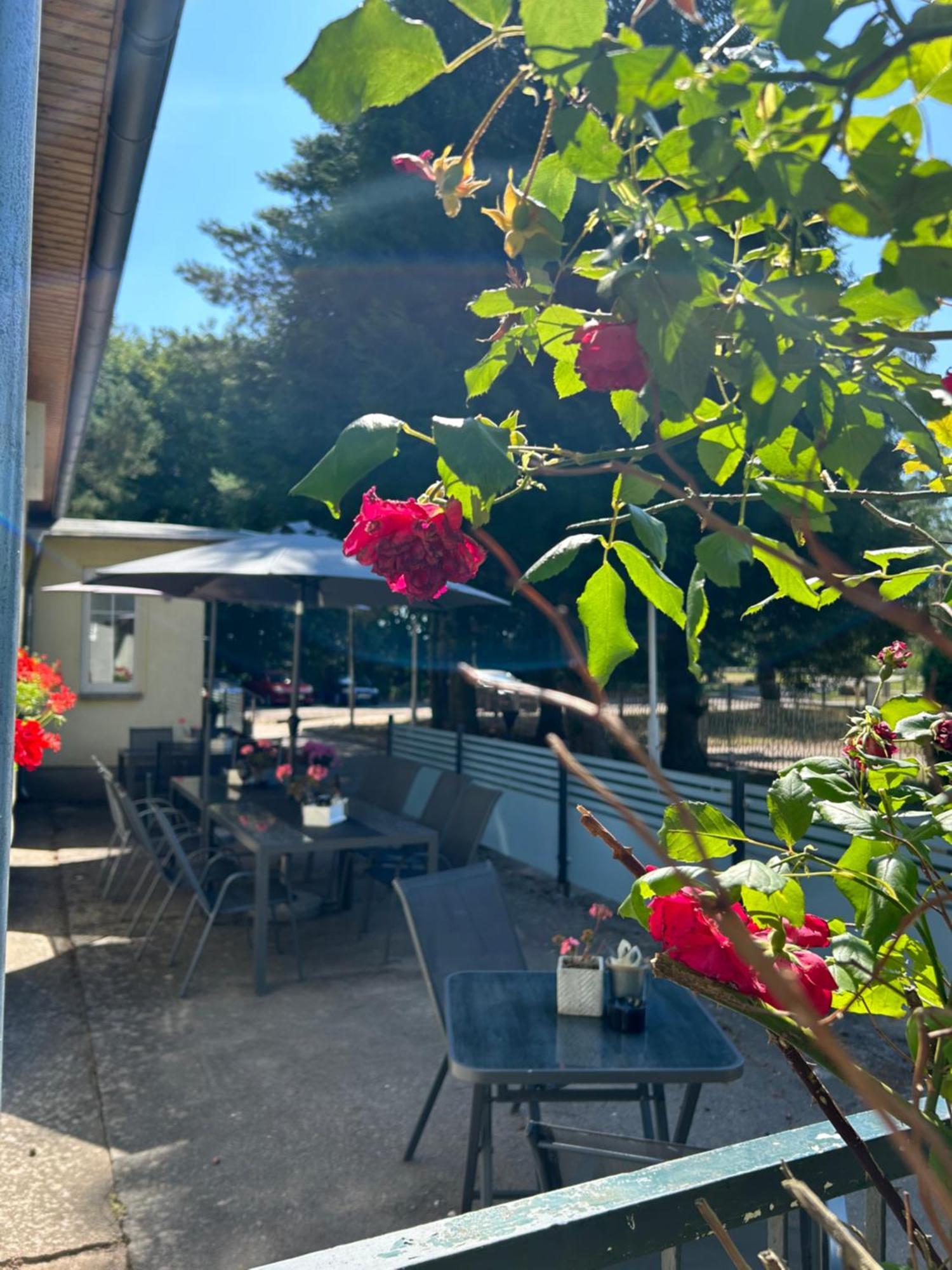 Hotel Waldperle à Jarmen Extérieur photo